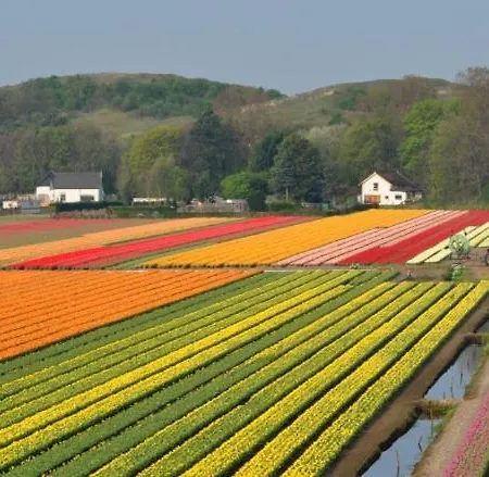 Het Vogelhuisje Egmond aan den Hoef