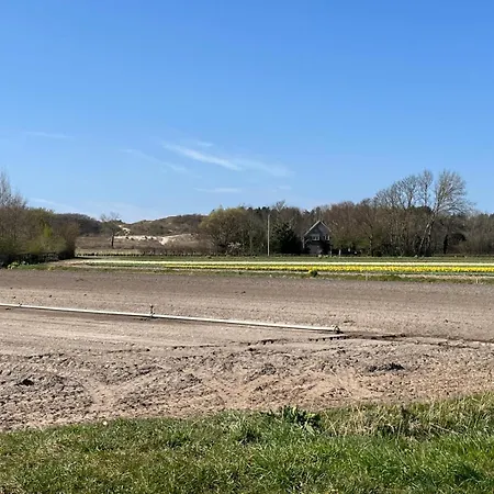 Het Vogelhuisje
