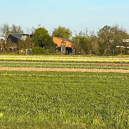 Сasa de vacaciones Het Vogelhuisje Egmond aan den Hoef