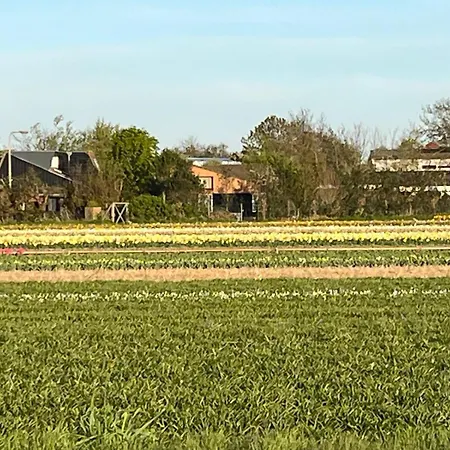 Het Vogelhuisje