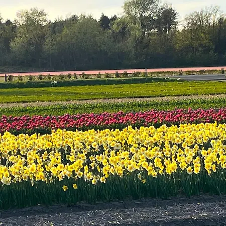 Het Vogelhuisje Сasa de vacaciones *