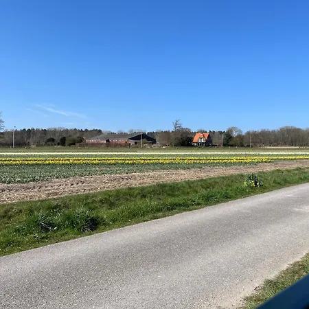 Het Vogelhuisje Tatil Evi