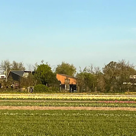 Het Vogelhuisje بيت للعطل