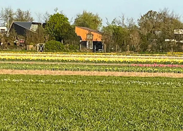 Semesterbostad Het Vogelhuisje Egmond aan den Hoef