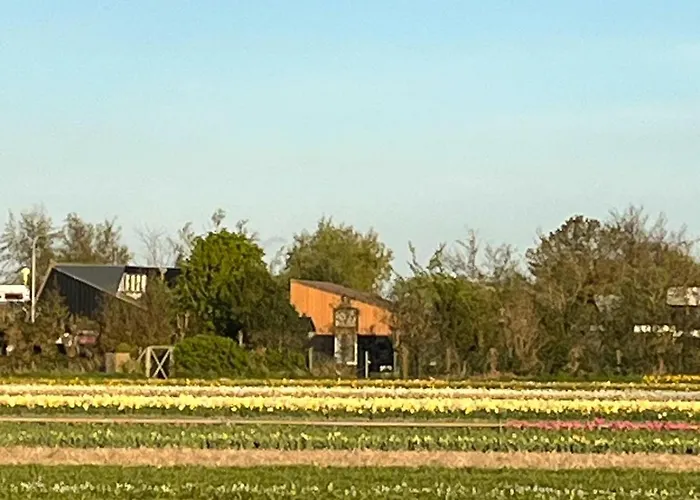 Het Vogelhuisje Semesterbostad