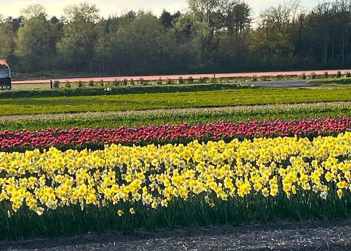 Het Vogelhuisje Semesterbostad *